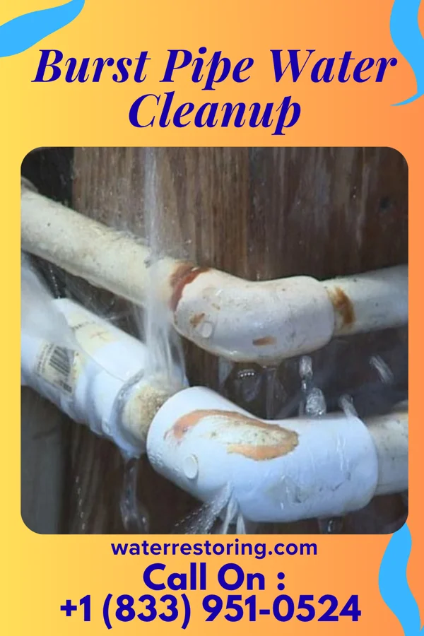 Burst Pipe Water Cleanup in Midtown, TN