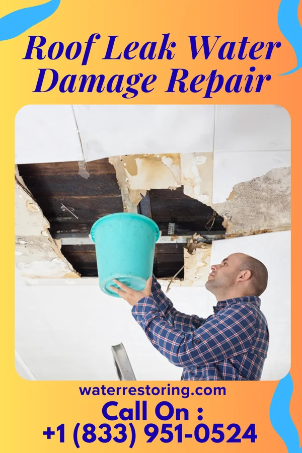 Roof Leak Water Damage Repair in Midtown, TN