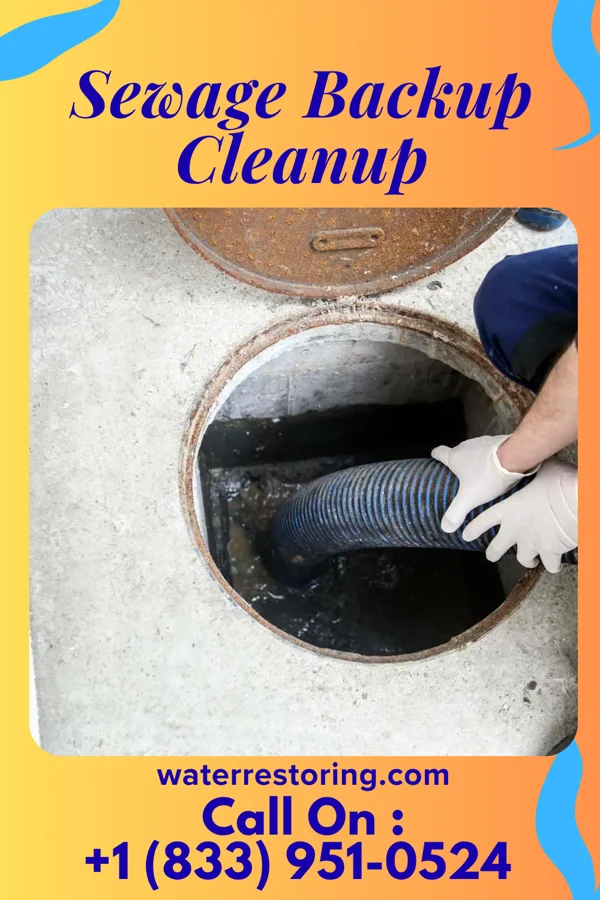 Sewage Backup Cleanup in Midtown, TN