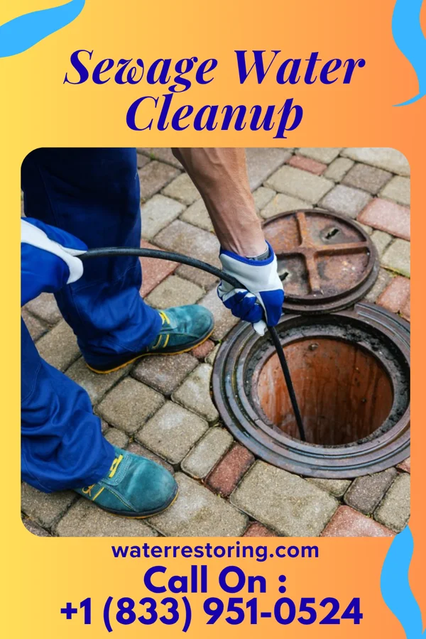 Sewage Water Cleanup in Midtown, TN